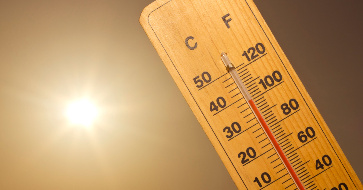 แผ่นกันความร้อน หลังคา